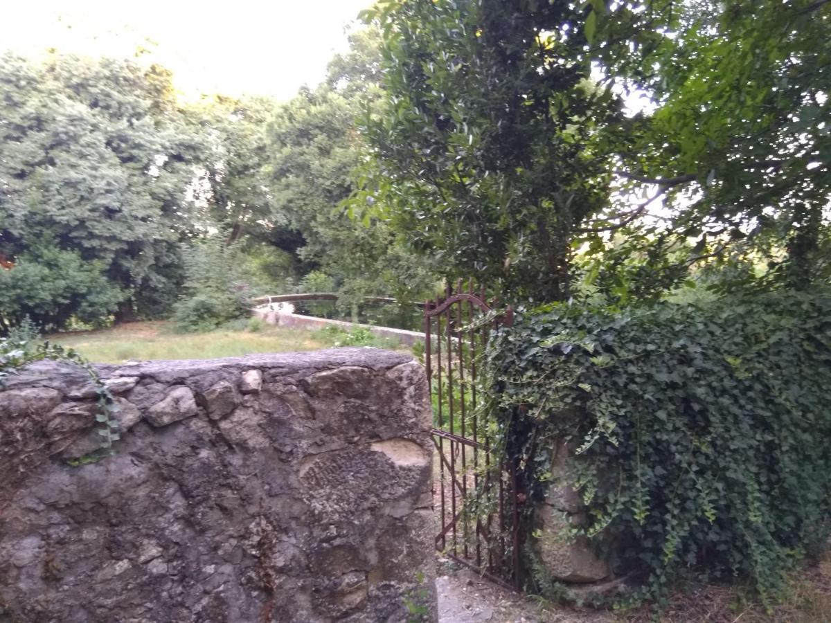 Jankovich Castle Διαμέρισμα Benkovac Εξωτερικό φωτογραφία