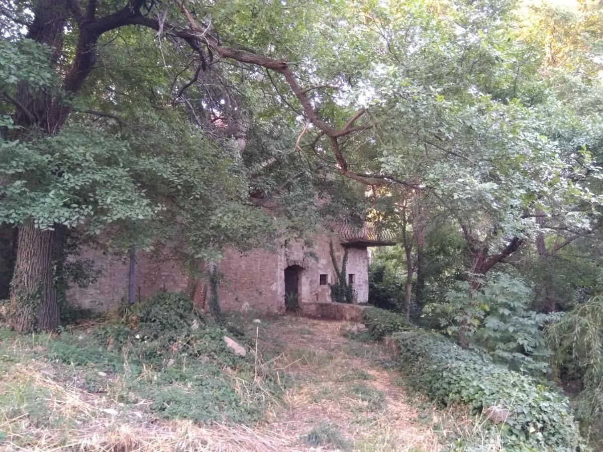 Jankovich Castle Διαμέρισμα Benkovac Εξωτερικό φωτογραφία